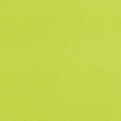 BAUHAUS Expo Ambiente Flächenvorhang Basic Grün, 100 % Polyester, B X H: 60 X 300 Cm -BAUHAUS Shop 12 1229