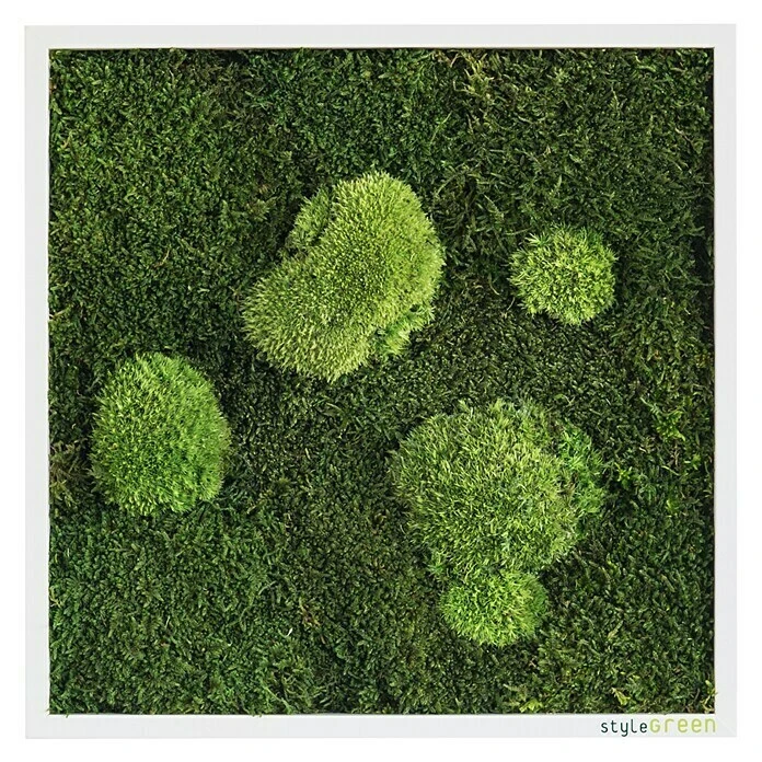 BAUHAUS StyleGreen Moosbild 35 X 35 Cm 2 BAUHAUS StyleGreen Moosbild 35 X 35 Cm