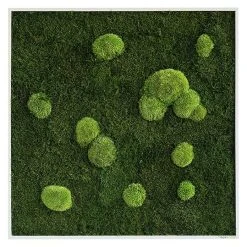 BAUHAUS StyleGreen Moosbild 35 X 35 Cm 9 BAUHAUS StyleGreen Moosbild 35 X 35 Cm -BAUHAUS Shop 12 1558
