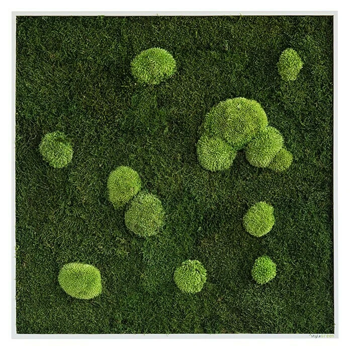 BAUHAUS StyleGreen Moosbild 35 X 35 Cm 4 BAUHAUS StyleGreen Moosbild 35 X 35 Cm – Bild 3