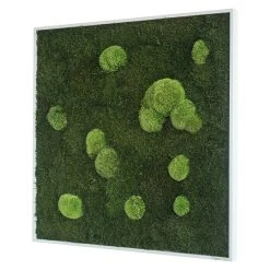 BAUHAUS StyleGreen Moosbild 35 X 35 Cm 11 BAUHAUS StyleGreen Moosbild 35 X 35 Cm -BAUHAUS Shop 12 1560
