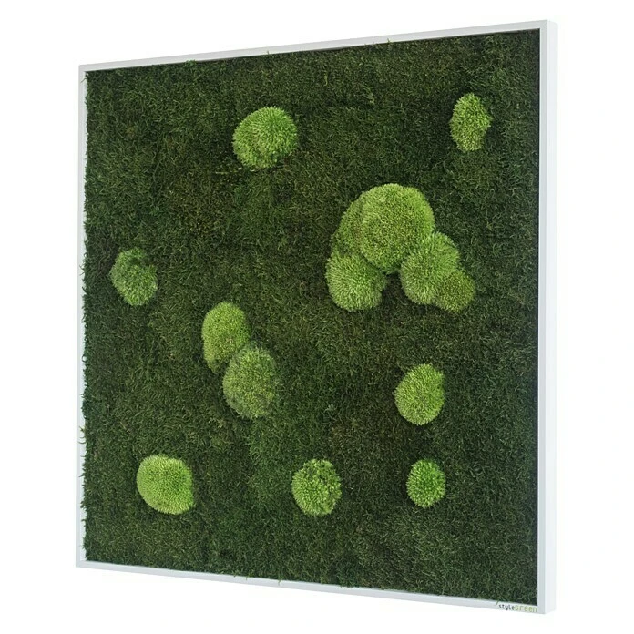 BAUHAUS StyleGreen Moosbild 35 X 35 Cm 6 BAUHAUS StyleGreen Moosbild 35 X 35 Cm – Bild 5