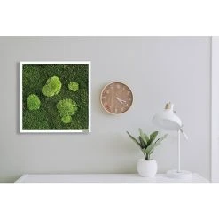 BAUHAUS StyleGreen Moosbild 35 X 35 Cm 12 BAUHAUS StyleGreen Moosbild 35 X 35 Cm -BAUHAUS Shop 12 1561