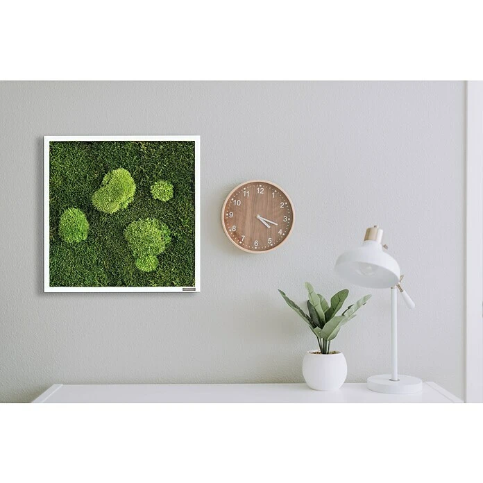 BAUHAUS StyleGreen Moosbild 35 X 35 Cm 7 BAUHAUS StyleGreen Moosbild 35 X 35 Cm – Bild 6