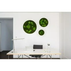 BAUHAUS StyleGreen Moosbild 34 X 6 Cm -BAUHAUS Shop 12 1564