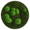 BAUHAUS StyleGreen Moosbild 54 X 6 Cm 2 BAUHAUS StyleGreen Moosbild 54 X 6 Cm -BAUHAUS Shop 12 1567
