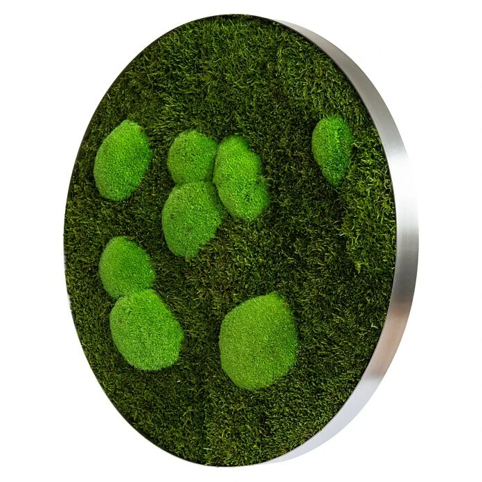 BAUHAUS StyleGreen Moosbild 54 X 6 Cm 4 BAUHAUS StyleGreen Moosbild 54 X 6 Cm – Bild 2