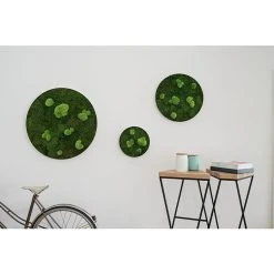 BAUHAUS StyleGreen Moosbild 54 X 6 Cm 8 BAUHAUS StyleGreen Moosbild 54 X 6 Cm -BAUHAUS Shop 12 1569