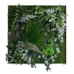 BAUHAUS StyleGreen Pflanzenbild 80 X 80 Cm
