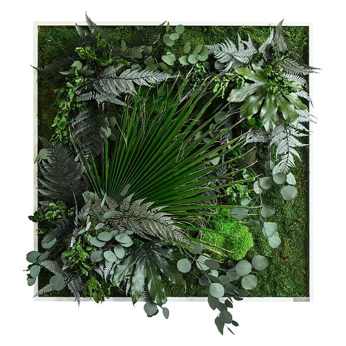 BAUHAUS StyleGreen Pflanzenbild 80 X 80 Cm 3 BAUHAUS StyleGreen Pflanzenbild 80 X 80 Cm