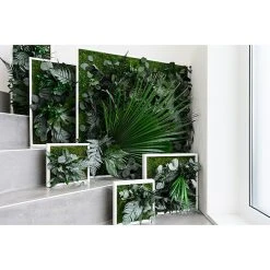 BAUHAUS StyleGreen Pflanzenbild 80 X 80 Cm 13 BAUHAUS StyleGreen Pflanzenbild 80 X 80 Cm -BAUHAUS Shop 12 1576