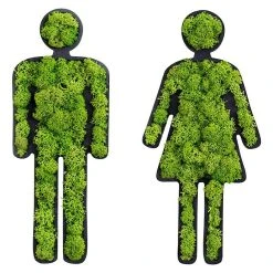 BAUHAUS StyleGreen Moosbild Toilettenset 10 X 25 Cm