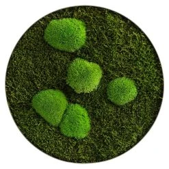 Alternative view of BAUHAUS StyleGreen Pflanzenbild Mooskreise