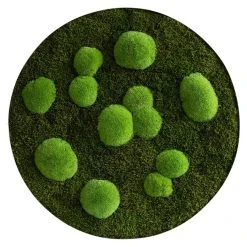 BAUHAUS StyleGreen Pflanzenbild Mooskreise 12 BAUHAUS StyleGreen Pflanzenbild Mooskreise -BAUHAUS Shop 12 1587