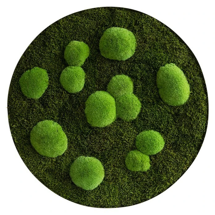 BAUHAUS StyleGreen Pflanzenbild Mooskreise 7 BAUHAUS StyleGreen Pflanzenbild Mooskreise – Bild 5