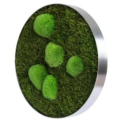 BAUHAUS StyleGreen Pflanzenbild Mooskreise 13 BAUHAUS StyleGreen Pflanzenbild Mooskreise -BAUHAUS Shop 12 1588