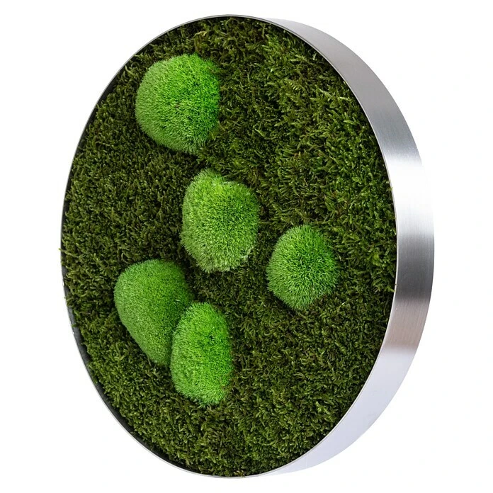 BAUHAUS StyleGreen Pflanzenbild Mooskreise 8 BAUHAUS StyleGreen Pflanzenbild Mooskreise – Bild 6