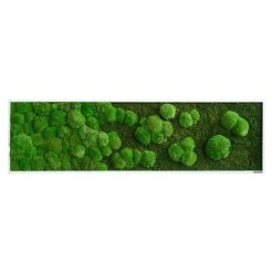 BAUHAUS StyleGreen Moosbild 140 X 40 Cm