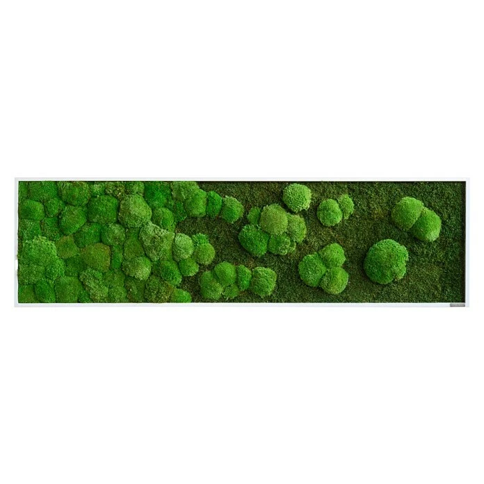 BAUHAUS StyleGreen Moosbild 140 X 40 Cm 3 BAUHAUS StyleGreen Moosbild 140 X 40 Cm