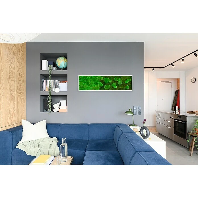 BAUHAUS StyleGreen Moosbild 140 X 40 Cm 4 BAUHAUS StyleGreen Moosbild 140 X 40 Cm – Bild 2
