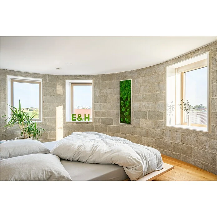BAUHAUS StyleGreen Moosbild 140 X 40 Cm 5 BAUHAUS StyleGreen Moosbild 140 X 40 Cm – Bild 3