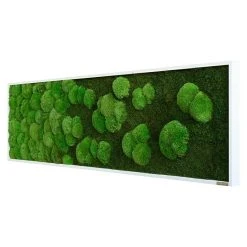 BAUHAUS StyleGreen Moosbild 140 X 40 Cm 12 BAUHAUS StyleGreen Moosbild 140 X 40 Cm -BAUHAUS Shop 12 1593