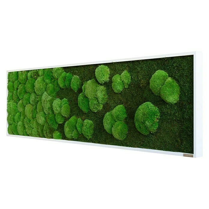 BAUHAUS StyleGreen Moosbild 140 X 40 Cm 7 BAUHAUS StyleGreen Moosbild 140 X 40 Cm – Bild 5