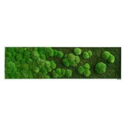 BAUHAUS StyleGreen Moosbild 140 X 40 Cm 13 BAUHAUS StyleGreen Moosbild 140 X 40 Cm -BAUHAUS Shop 12 1594