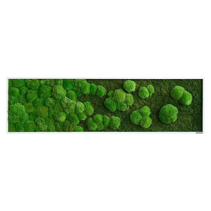BAUHAUS StyleGreen Moosbild 140 X 40 Cm 8 BAUHAUS StyleGreen Moosbild 140 X 40 Cm – Bild 6