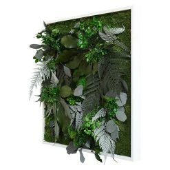 BAUHAUS StyleGreen Pflanzenbild 55 X 55 Cm -BAUHAUS Shop 12 1596