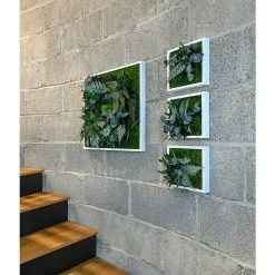 BAUHAUS StyleGreen Pflanzenbild 55 X 55 Cm -BAUHAUS Shop 12 1597