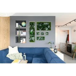 BAUHAUS StyleGreen Pflanzenbild 55 X 55 Cm -BAUHAUS Shop 12 1599
