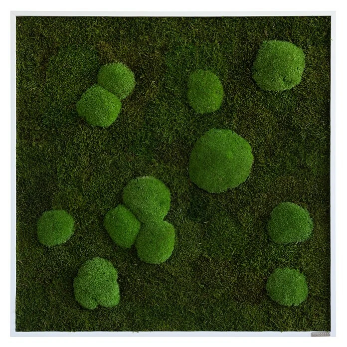 BAUHAUS StyleGreen Moosbild 80 X 80 Cm 3 BAUHAUS StyleGreen Moosbild 80 X 80 Cm