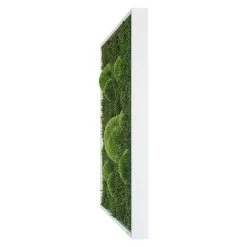 BAUHAUS StyleGreen Moosbild 80 X 80 Cm 10 BAUHAUS StyleGreen Moosbild 80 X 80 Cm -BAUHAUS Shop 12 1603
