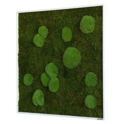 BAUHAUS StyleGreen Moosbild 80 X 80 Cm 12 BAUHAUS StyleGreen Moosbild 80 X 80 Cm -BAUHAUS Shop 12 1605