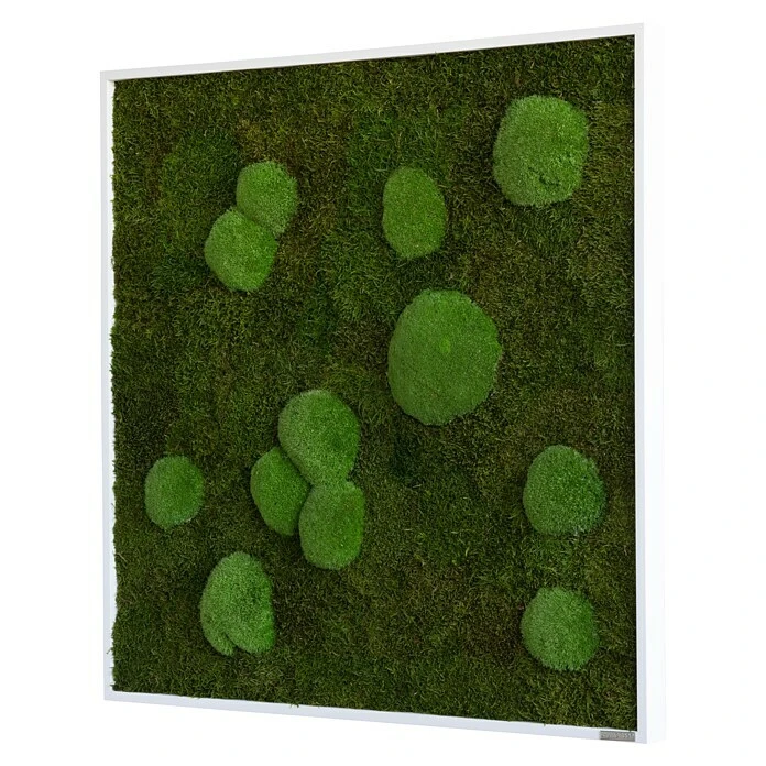BAUHAUS StyleGreen Moosbild 80 X 80 Cm 7 BAUHAUS StyleGreen Moosbild 80 X 80 Cm – Bild 5