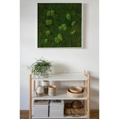 BAUHAUS StyleGreen Moosbild 80 X 80 Cm 13 BAUHAUS StyleGreen Moosbild 80 X 80 Cm -BAUHAUS Shop 12 1606