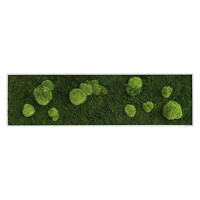 BAUHAUS StyleGreen Moosbild 40 X 140 Cm 3 BAUHAUS StyleGreen Moosbild 40 X 140 Cm