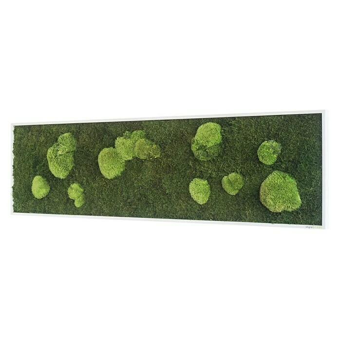BAUHAUS StyleGreen Moosbild 40 X 140 Cm 4 BAUHAUS StyleGreen Moosbild 40 X 140 Cm – Bild 2
