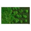 BAUHAUS StyleGreen Moosbild 60 X 100 Cm -BAUHAUS Shop 12 1612