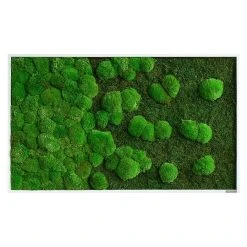 BAUHAUS StyleGreen Moosbild 60 X 100 Cm