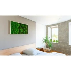 BAUHAUS StyleGreen Moosbild 60 X 100 Cm -BAUHAUS Shop 12 1616