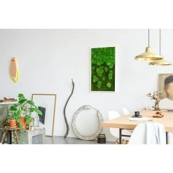 BAUHAUS StyleGreen Moosbild 60 X 100 Cm -BAUHAUS Shop 12 1617