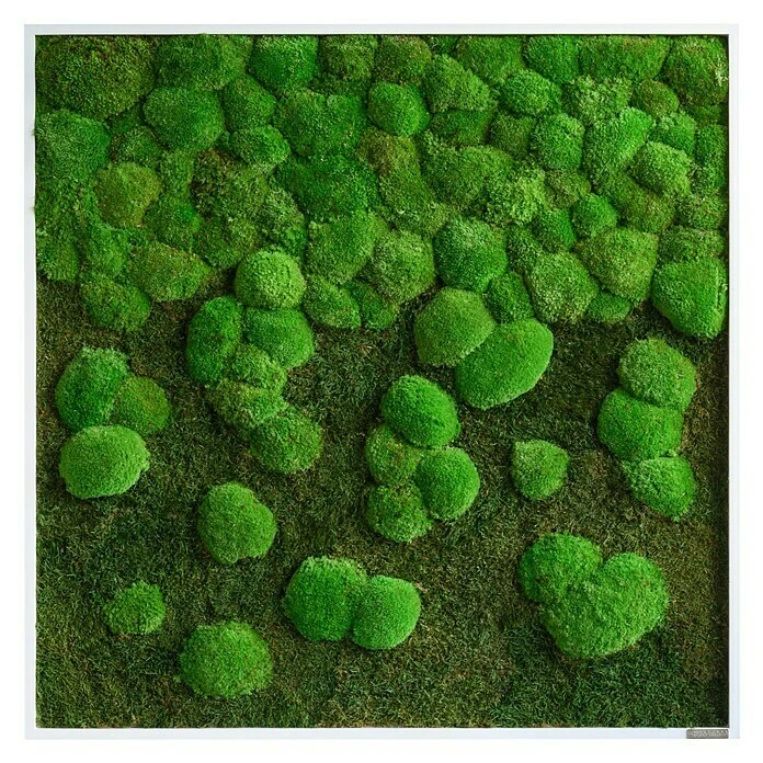 BAUHAUS StyleGreen Moosbild 80 X 80 Cm 3 BAUHAUS StyleGreen Moosbild 80 X 80 Cm