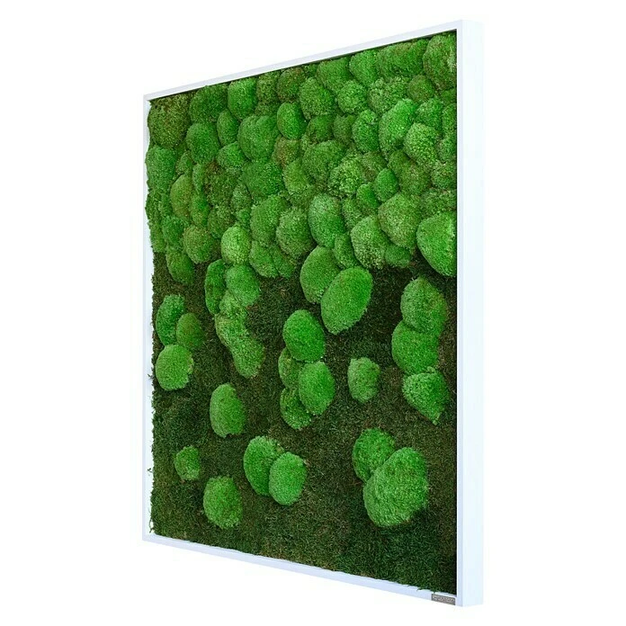 BAUHAUS StyleGreen Moosbild 80 X 80 Cm 4 BAUHAUS StyleGreen Moosbild 80 X 80 Cm – Bild 2