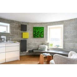BAUHAUS StyleGreen Moosbild 80 X 80 Cm 9 BAUHAUS StyleGreen Moosbild 80 X 80 Cm -BAUHAUS Shop 12 1627