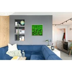 BAUHAUS StyleGreen Moosbild 80 X 80 Cm 11 BAUHAUS StyleGreen Moosbild 80 X 80 Cm -BAUHAUS Shop 12 1629