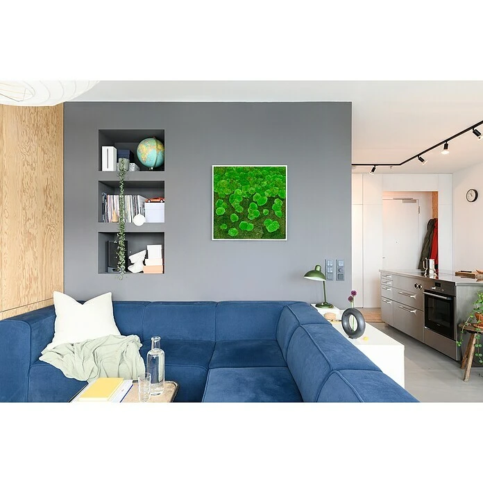 BAUHAUS StyleGreen Moosbild 80 X 80 Cm 7 BAUHAUS StyleGreen Moosbild 80 X 80 Cm – Bild 5