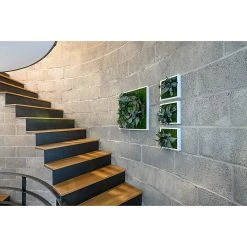 BAUHAUS StyleGreen Pflanzenbild Dschungelquadrate, L X B X H: 22 X 22 X 4 Cm -BAUHAUS Shop 12 1634