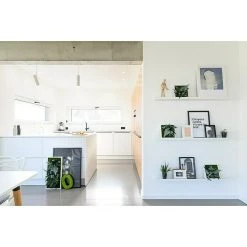 BAUHAUS StyleGreen Pflanzenbild Dschungelquadrate, L X B X H: 22 X 22 X 4 Cm -BAUHAUS Shop 12 1635